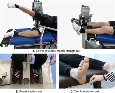 Balancing sensory inputs: somatosensory reweighting from proprioception to tactile sensation in maintaining postural stability among older adults with sensory deficits